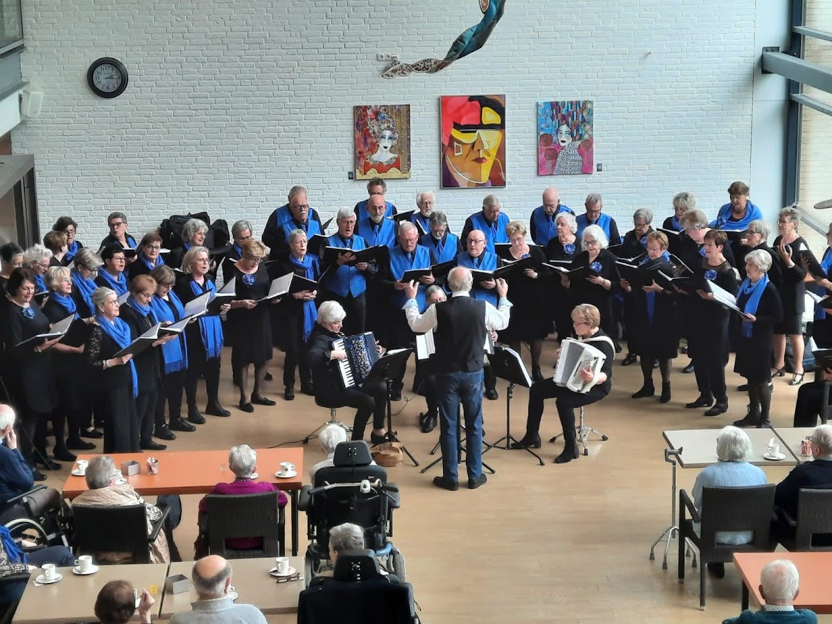 Het Zwanentranenkoor tijdens een optreden